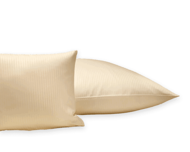 Zwei Kopfkissen mit elegantem Kopfkissenbezug.